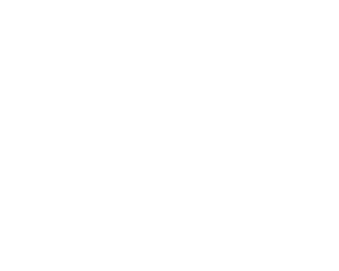 logo-stella-alpina