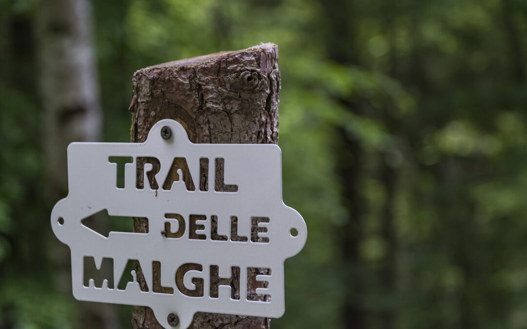 Aperte le iscrizioni al Trail delle Malghe 2026