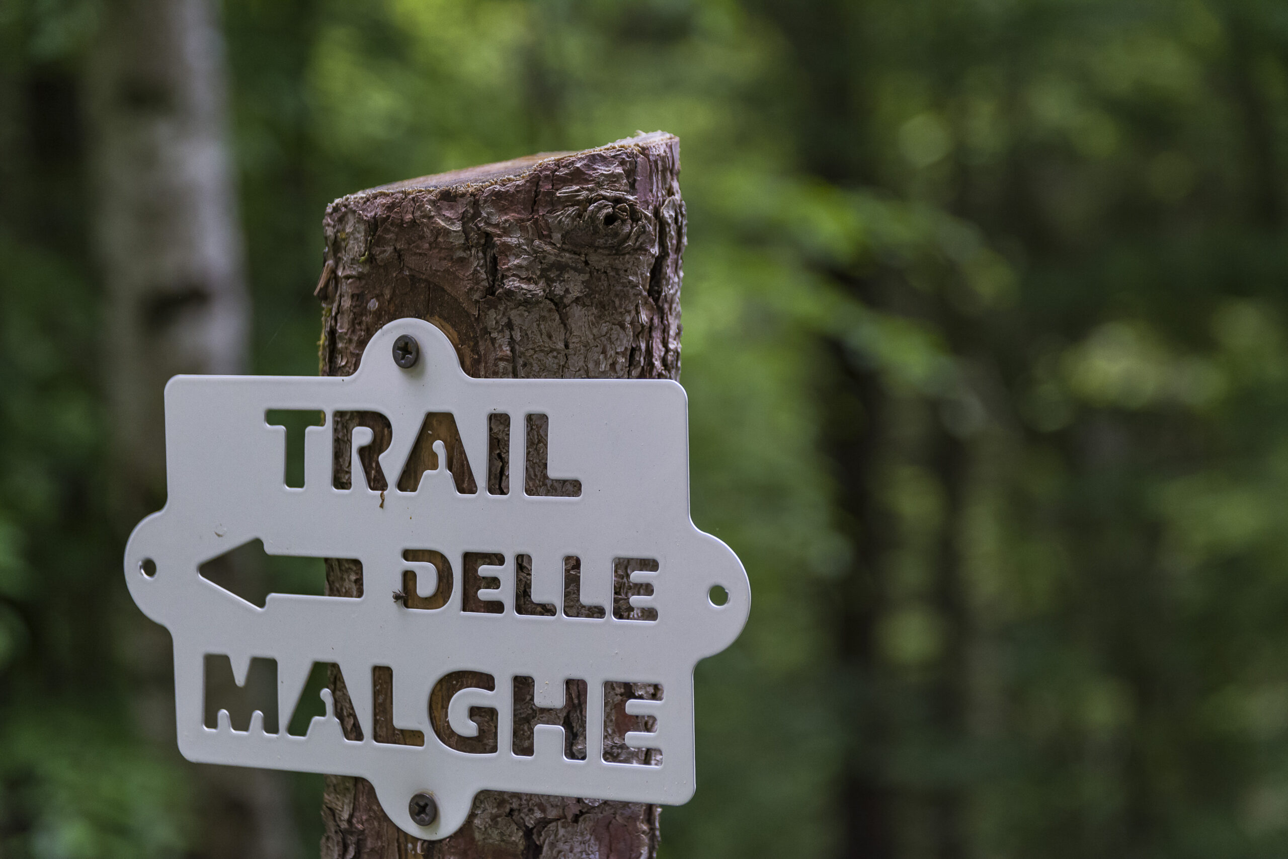 Aperte le iscrizioni al Trail delle Malghe 2026